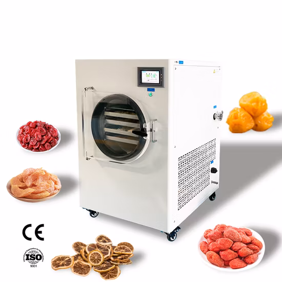 a Freeze Dryer Dehydrator Vacuum Freeze Dry Oven