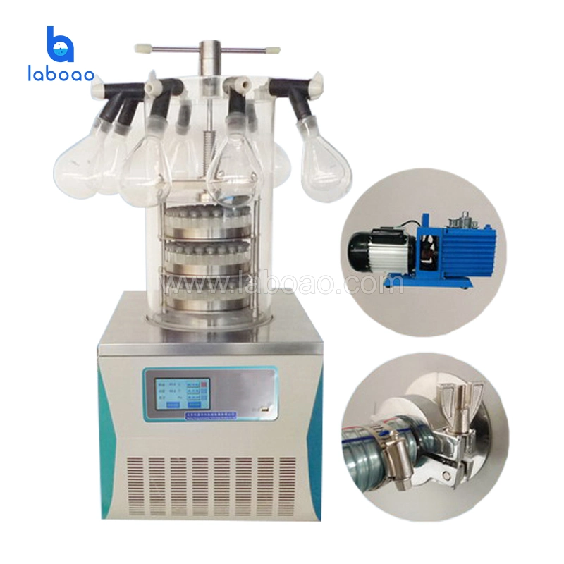 Benchtop Laboratory Vacuum Freeze Dryer for Sale