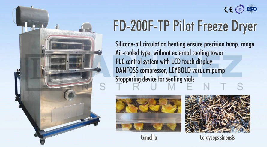 Pilot Automatic Vacuum Freeze Dryer for Food and Medicine 6kg/24h