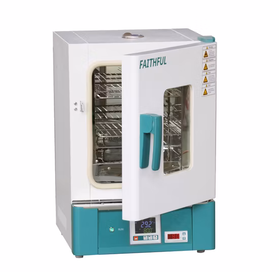 Wgll Forced Air Drying Oven with CE and ISO, Blast Oven, Lab Oven, Lab Dry Oven, Lab Drying Equipment